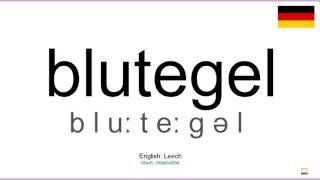 How to pronounce: Blutegel (German)