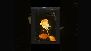 Pixelmator Pro 3 - How to Create a Sparkly Golden Flower