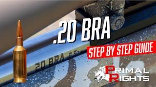 .20 BRA Step by Step Guide