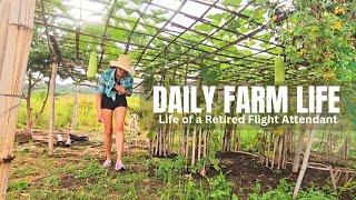 Daily Farm Life in the Philippines