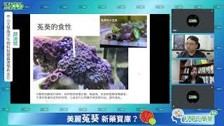 美麗菟葵 新藥寶庫【科學不簡單Ｘ科學人】