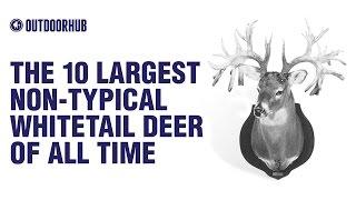 The 10 Largest Non-Typical Whitetail Deer of All Time