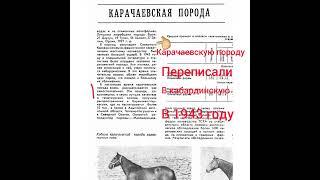 карачаевская порода лошадей Къ знак качества #лошади #балкарцы #карачаевцы #кчр