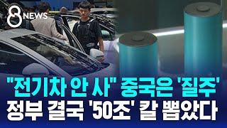 "전기차 안 사" 중국은 '질주'…정부 결국 '50조' 칼 뽑았다 / SBS 8뉴스