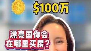 $100万，在美国，哪里买房？#买房 #美国 #美国生活 #海外 #置业