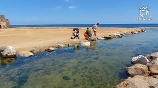 Fuerteventura, Caleta de fuste, beach walk