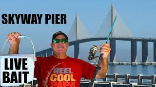 Eating What I Catch Skyway Fishing Pier Truck Camping Adventure