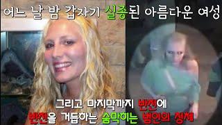 [] 어느 날 밤 갑자기 실종된 아름다운 여성, 그리고 마지막까지 반전에 반전을 거듭하는 숨막히는 범인의 정체