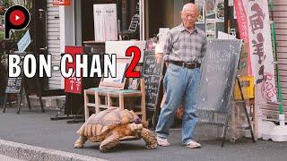 【Bon-chan 2】Next chapter | An old man and his giant tortoise take a walk