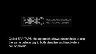 Carnegie Mellon Develops Targeted Photosensitizer for Cell Manipulation
