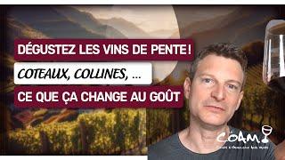 Apprenez à déguster les vins de PENTE (collines, montagnes, coteaux)