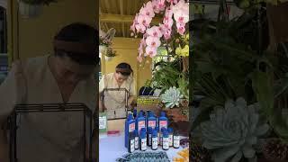 Cùng tham gia hội chợ triển lãm tại phố đi bộ Nguyễn Huệ | Dạy cắm hoa mở shop Tigon #dạy_cắm_hoa