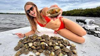 Scalloping (Catch, Clean & Cook) Plus Spearfishing in 8 Foot of Water!