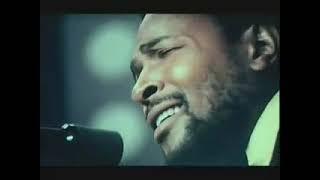 Marvin Gaye - What's Going On / What's Happening Bro'