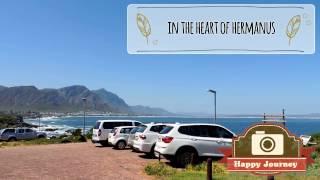 Top 5 Hermanus: General Attractions and more  (Details in Description)