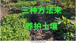 三种土壤养护的方法（three ways to improve soil quality）