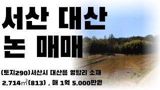 (토지290)서산시 대산읍 영탑리 소재 논매매 ,가격 1억 5,000만원, 2,714㎡(813), 귀농귀촌 토지추천