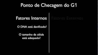 Ponto de Checagem do G1 - Profº Dorival Filho