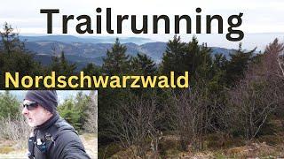 182. Streak (Nordschwarzwald  Hornisgrinde Longrun‍️)