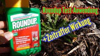Anwendung Unkrautvernichter Roundup mit Zeitraffer Wirkung Roundup Pelargonsäure