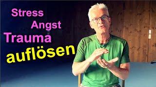 Neurogenes Zittern - Angst, Stress + Trauma lösen I Praktische Anleitung - Jan von Wille