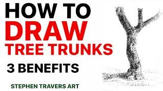 Grow Your Drawing Skills With Tree Trunks