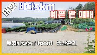 [물건번호2644] 태안군 태안읍 바닷가 5km 거리" 예쁜 밭 매매" 합니다, 비닐하우스2동 상수도+지하수+농업용전기+닭장+ 유실수 나무 모두 다 갖춰진  주말 농장 매물 입니다