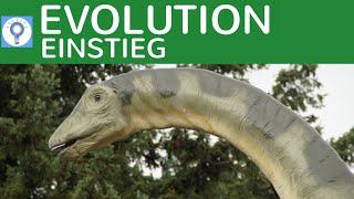 BIOLOGIE NACHHILFE - Evolution & Entwicklung - die neue Serie | Evolution 1