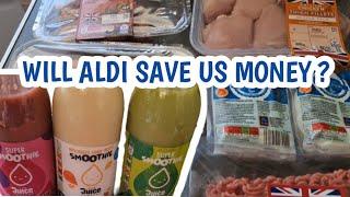 DID WE SAVE SHOPPING IN ALDI | COST OF LIVING GROCERY HAUL | life of the baldwins