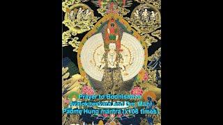 Om Mani Padme Hung Mantra-the mantra of Bodhisattva Avalokitesvara/Chenrizig (x108 times)