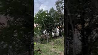 Идем домой после Большой Будды