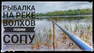 РЫБАЛКА НА РЕКЕ ВОЛХОВ.ЛОВЛЯ СОПЫ(СИНЦА) НА ПОПЛАВОЧНУЮ УДОЧКУ.