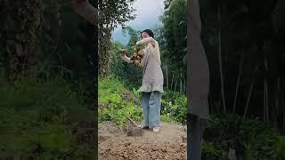 A hardworking rural girl working in the fields #shorts #countryside #wildgirl