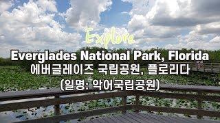 미국 플로리다 마이애미 에버글레이즈 (악어)국립공원 탐방기 | Explore Anhingha Trail in Everglades National Park