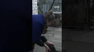 «Хазяїн Сьомочки служить, Малиш - невідомо чий»: у жительки Донеччини живуть 11 котів та 19 собак