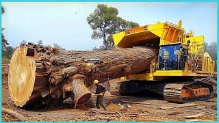 Extreme Dangerous Wood Chipper Machines Technology, Fastest Tree Shredder Working & Woodworking