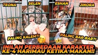 PERBEDAAN CARA MAKAN DARI 4 HARIMAUNYA ALSHAD AHMAD ! SIAPA YANG PALING KALEM DAN SIAPA YANG BARBAR?