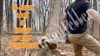 In Depth Look at Cutting Veneer Trees on a Professional Level. No B.S.