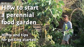 How to Start a Perennial Food Garden: Hints and tips for getting started