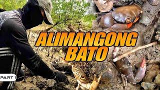 P1 - ALIMANGONG BATO - EP1489