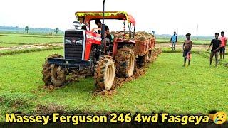 Massey Ferguson 246 4wd tractor stuck in mud || Help with tractor guru subha 