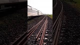 kereta api mutiara selatan nyepam s35 panjang di percabangan tarik