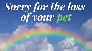 A condolence message for the loss of your beloved pet ️ R.I.P. message ️ Sorry for your loss