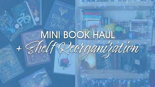 Mini Book Haul + Bookshelf Reorganization | Erin Applebee