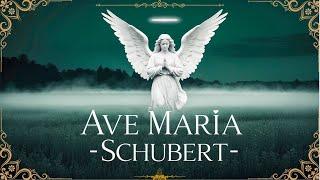 Ave Maria 1 hour - Franz Schubert | Refined Classics