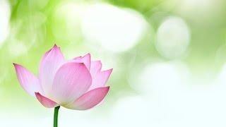 8 Hour Relaxing music: Spa Music: New Age Music; Musica New Age; Relaxation Music; Yoga Music 57