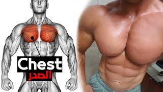 How To Build Your Chest Fast (6 Effective Exercises)-تمارين الصدرً