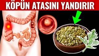 1 Qaşığı 20 DƏRDƏ ƏLACDIR - Onu yaxşı tanıyın!