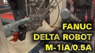 FANUC M-1iA/0.5A delta robot at hi Tech & Industry 2017