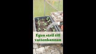 Egen stril till vattenkannan